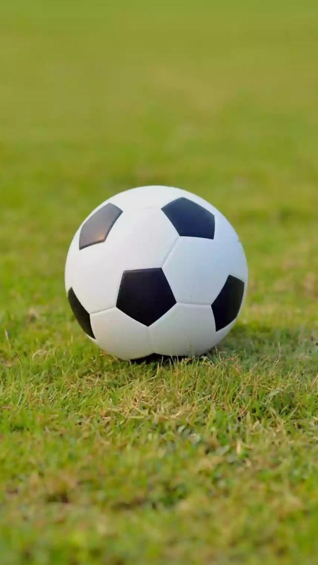 数据分析师研究体育数据